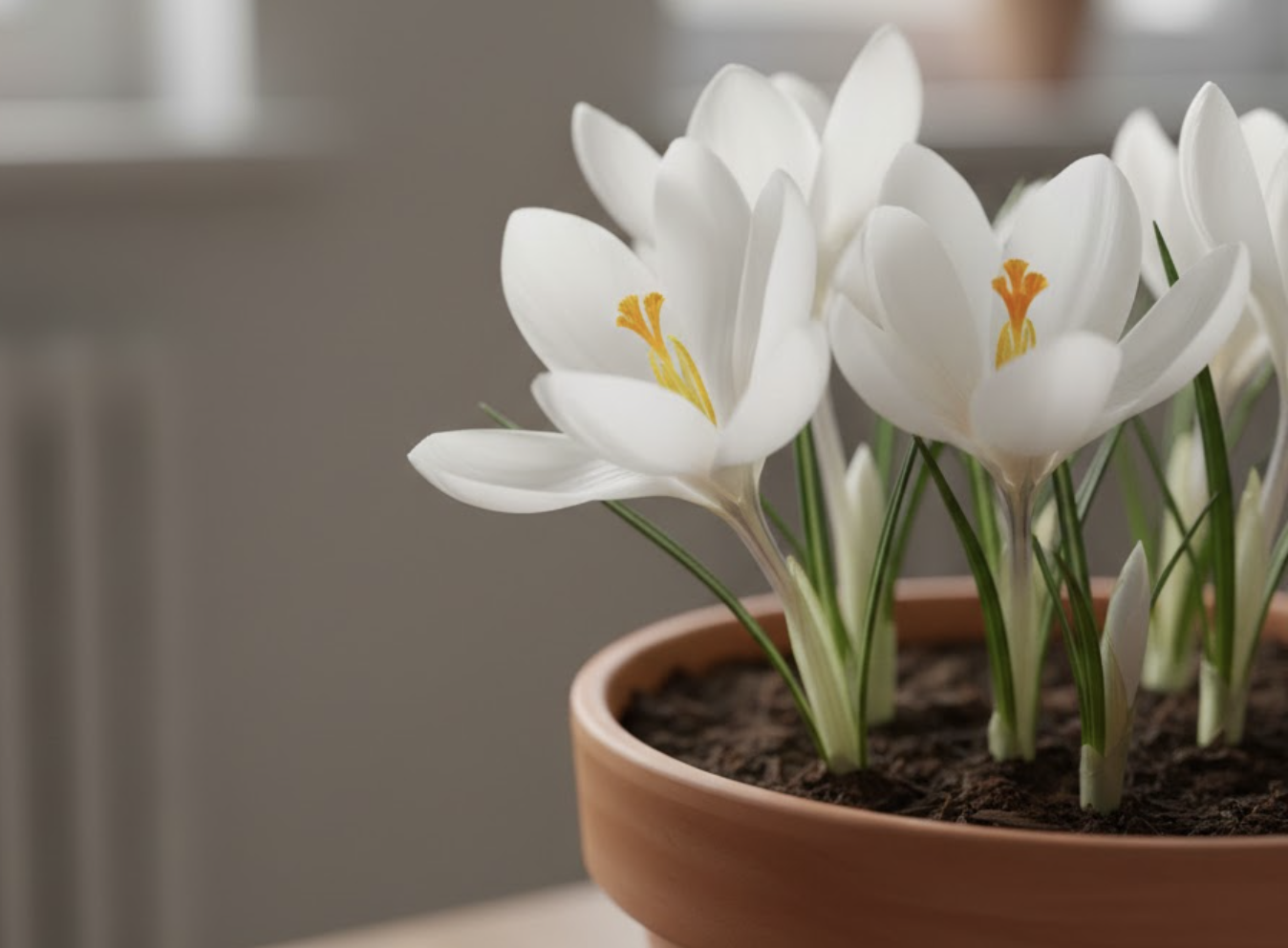 Портрет человека